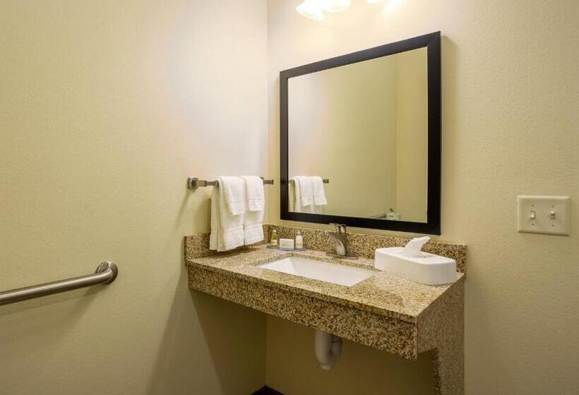 Номер Стандарт Кровать Кинг Адаптированный для Инвалидов, Cobblestone Inn & Suites  Brookville
