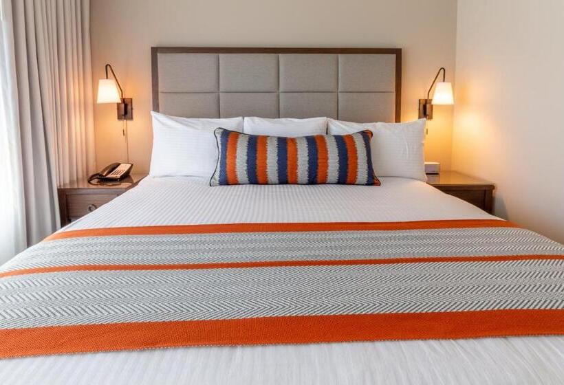 ベーシックルーム, Lakeside Lodge Clemson