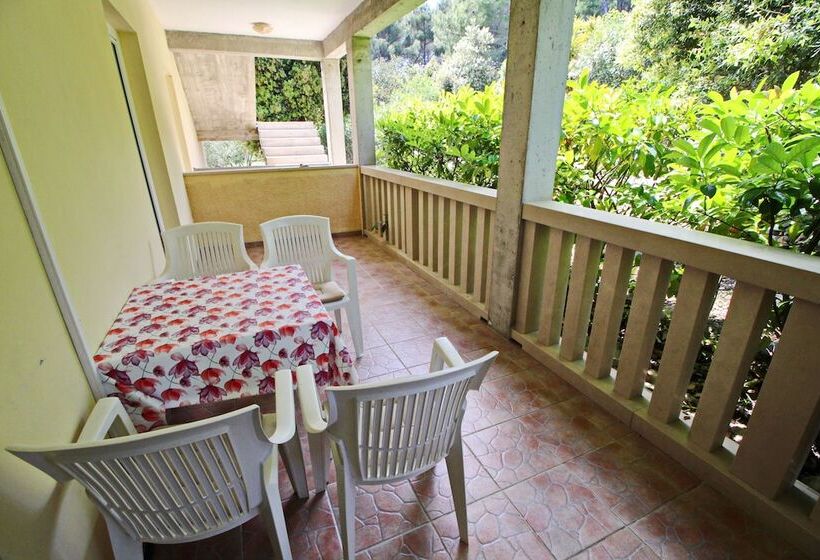 آپارتمان 1 خوابه با چشم‌انداز باغ, Apartments Veselka