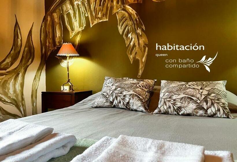 اتاق استاندارد با سرویس بهداشتی مشترک, Calchaquíes Home Hostel