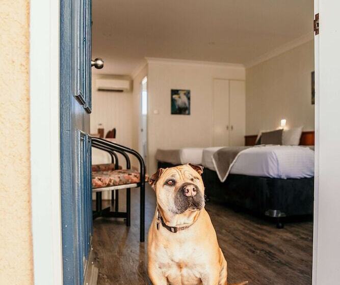 스탠다드 룸, Outback Motel Mt Isa