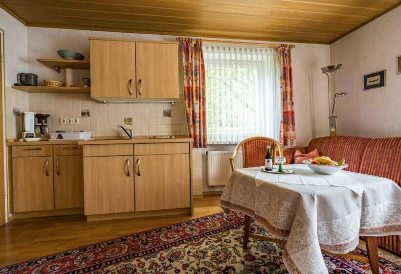 Апартаменты 1 Спальня с Видом, Gästehaus Christa Mauerer