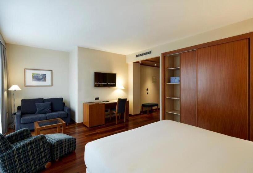 Номер Стандарт, Sercotel Cornellà Barcelona