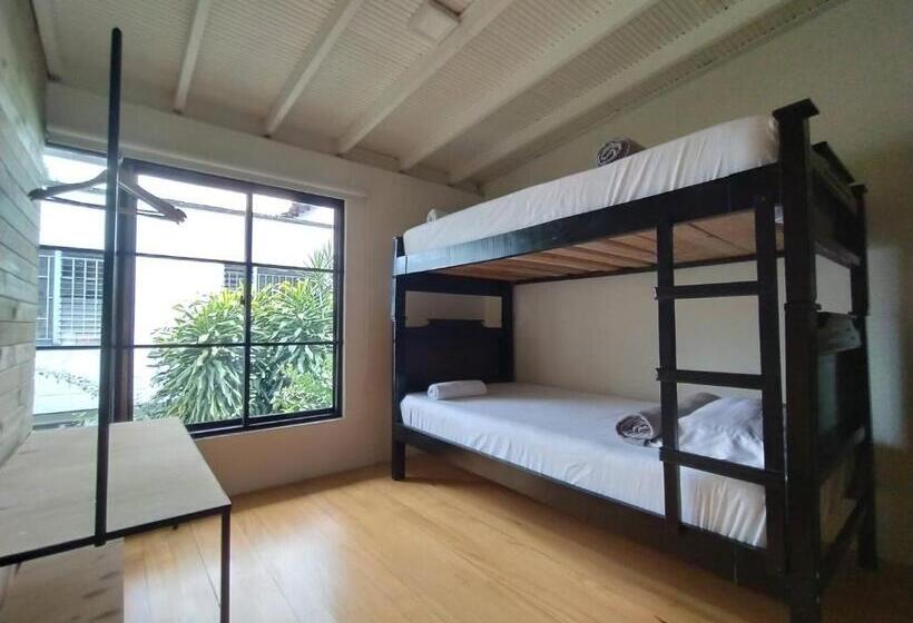 חדר סטנדרט, Cloud9 Hostel