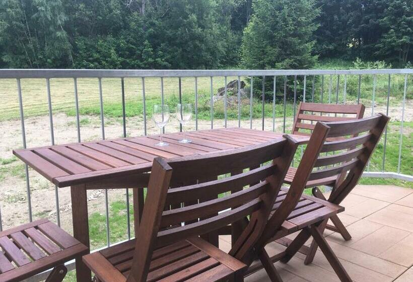 이그제큐티브 스위트, Efi Aparthotel Horní Lipová