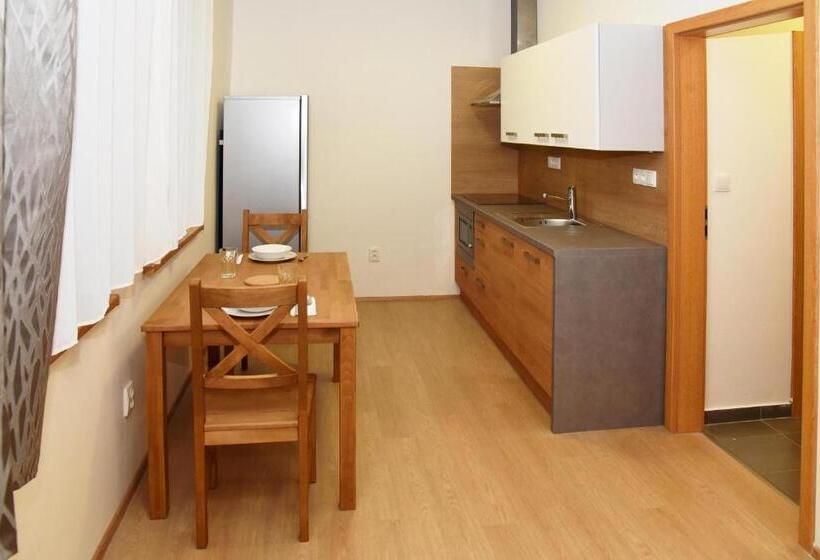 디럭스 스튜디오, Efi Aparthotel Horní Lipová