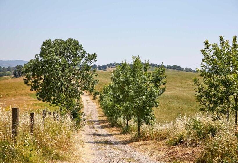 Апартаменты 1 Спальня Нижний Этаж, Agriturismo Montecrespini