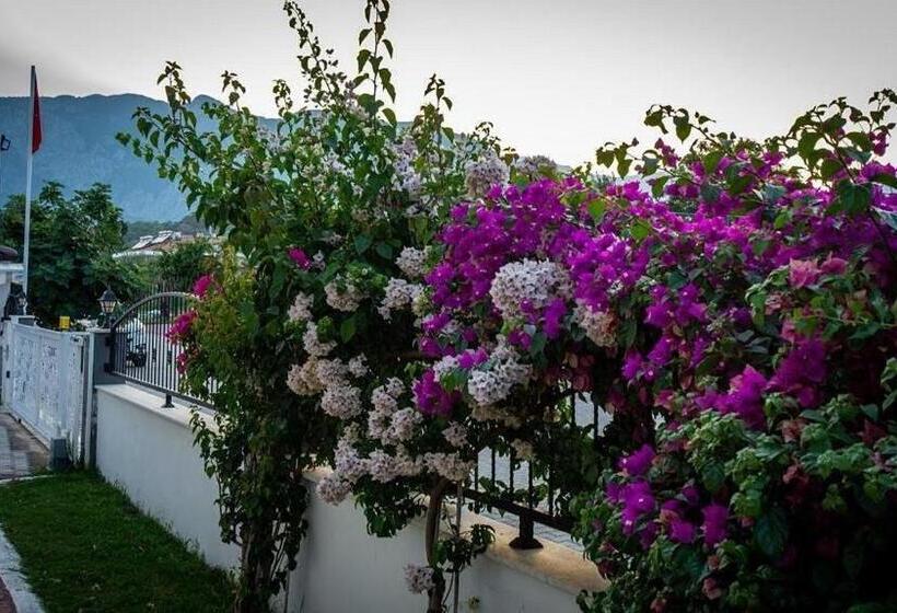 Quarto Familiar, Agva Apart Otel