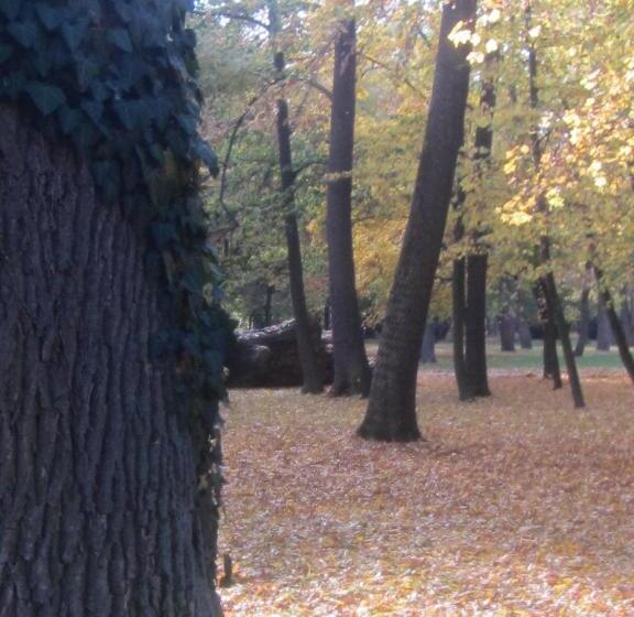 Четырехместный Номер Стандарт с Балконом, Csigaház Panzió