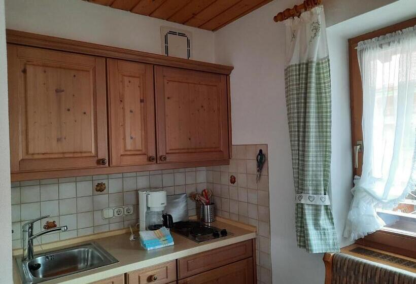 Apartamento 1 Dormitório com Vistas, Gästehaus Annemarie