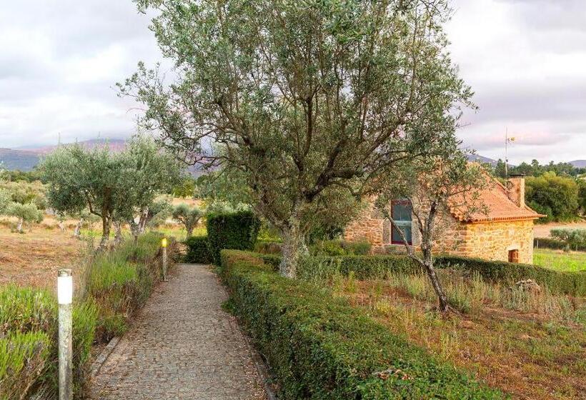 Шале 1 Спальня, Quinta Do Chão Da Vinha