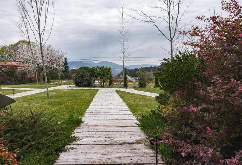 Номер Стандарт, Lavandeira Douro Nature & Wellness