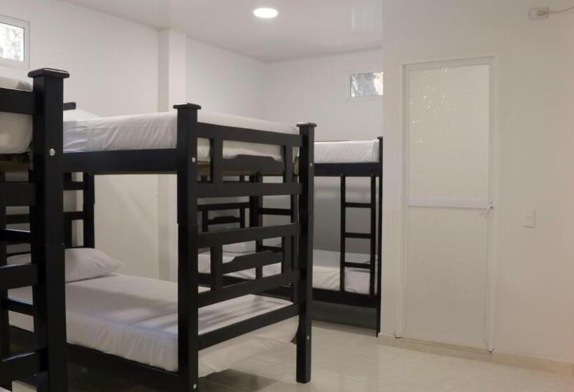 Кровать в Общей Комнате, Puerto Caribe Hostal
