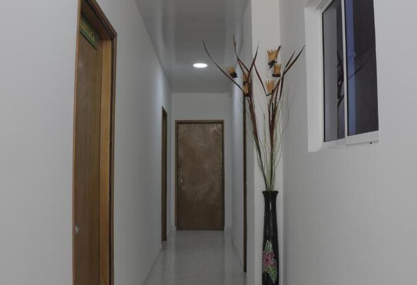 기본룸, Puerto Caribe Hostal
