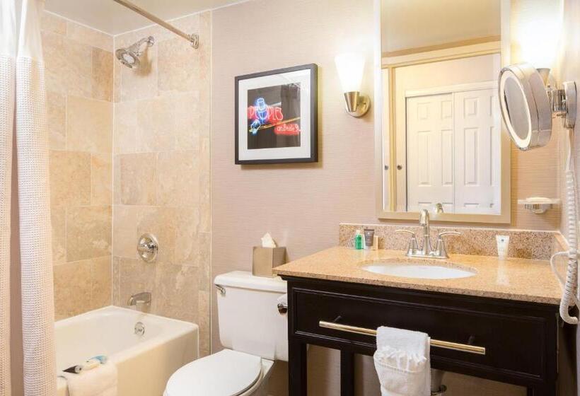 Standaardkamer met Uitzicht, Crowne Plaza Memphis Downtown, An Ihg