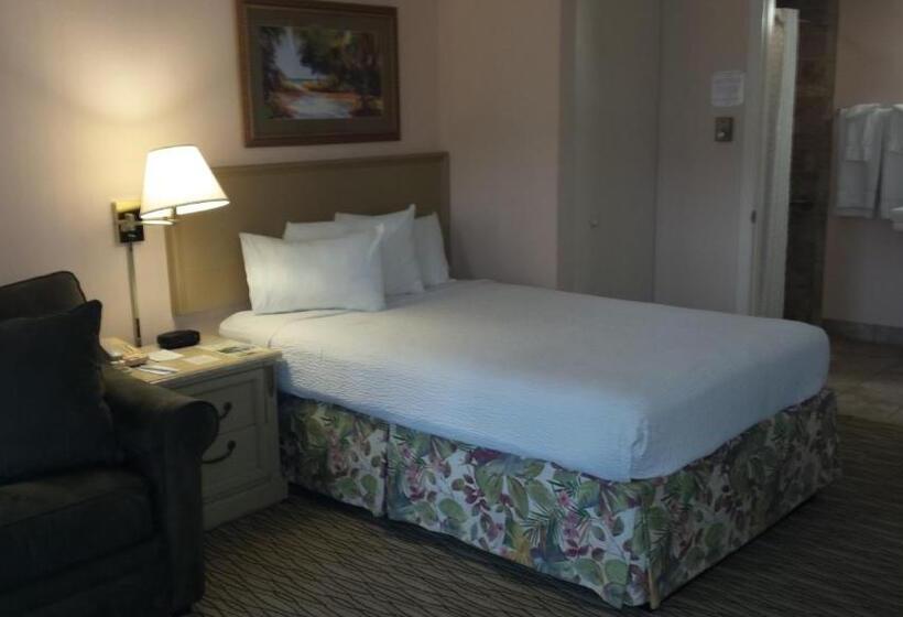 장애인을 위한 킹사이즈 침대 스탠다드 룸, Sandcastle Resort At Lido Beach