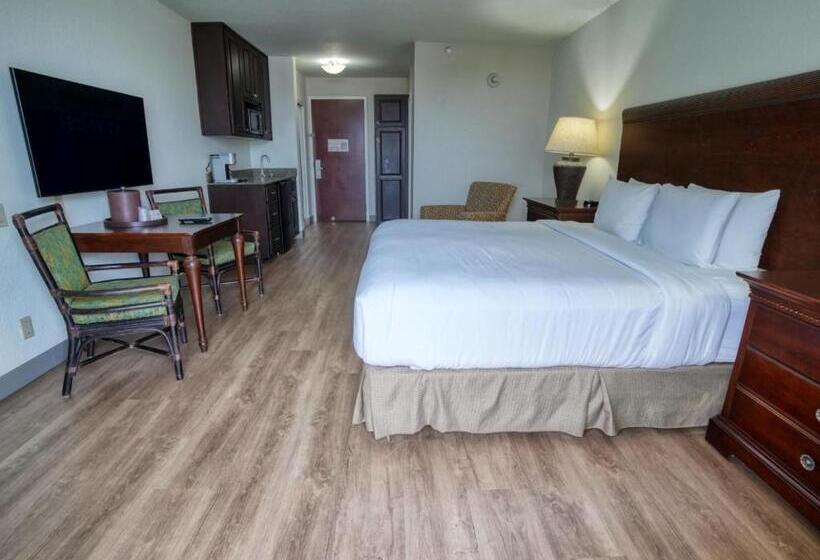 اتاق استاندارد با تخت بزرگ, Treasure Island Hotel And Marina