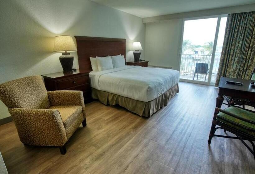 غرفة قياسية سرير كينج لذوى الإحتياجات الخاصة, Treasure Island Hotel And Marina