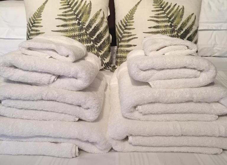 Семейный Номер, Ashbrook House B&b