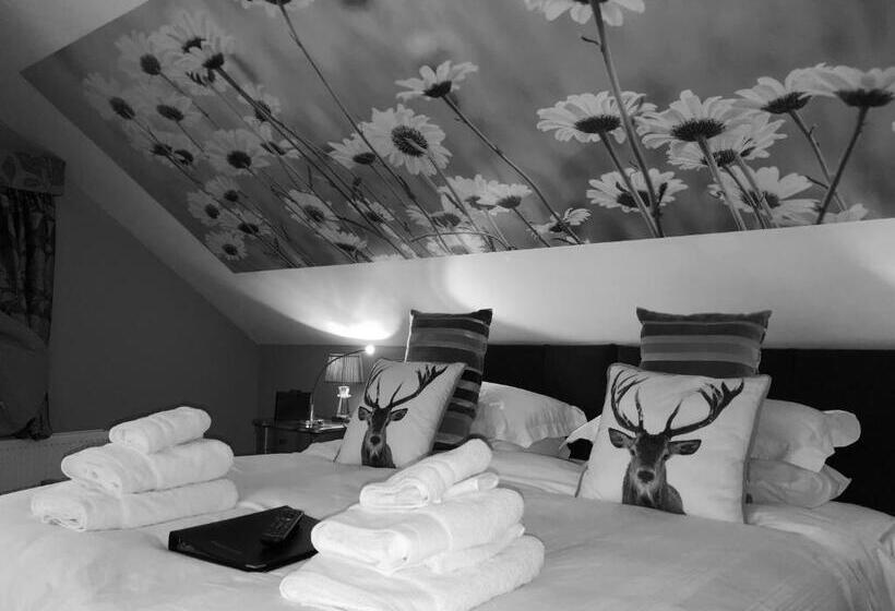 Семейный Номер, Ashbrook House B&b