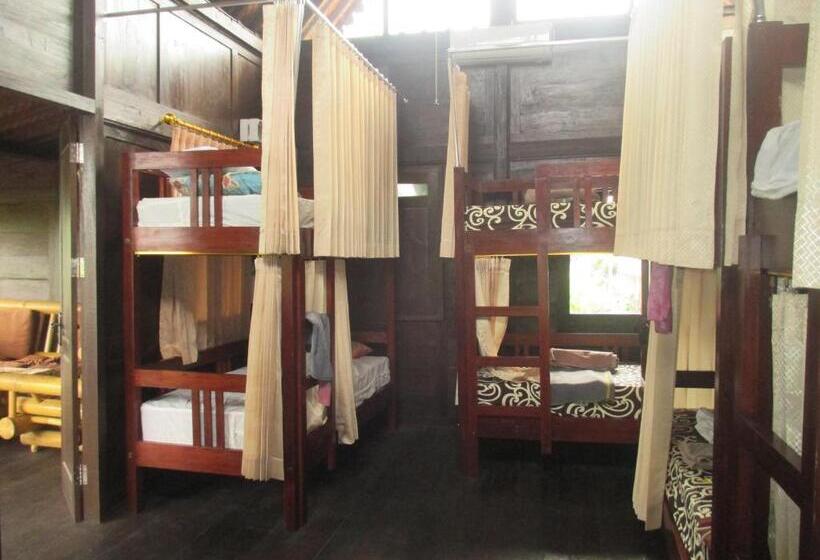 Кровать в Общей Комнате, Green Paddy Hostel & Villa