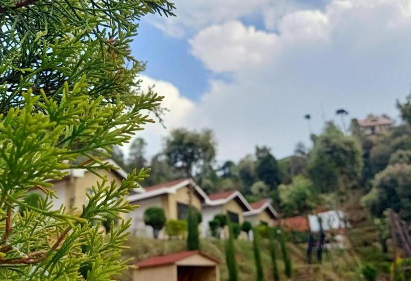 프레지덴셜 스위트, Skywood Resort Shoghi