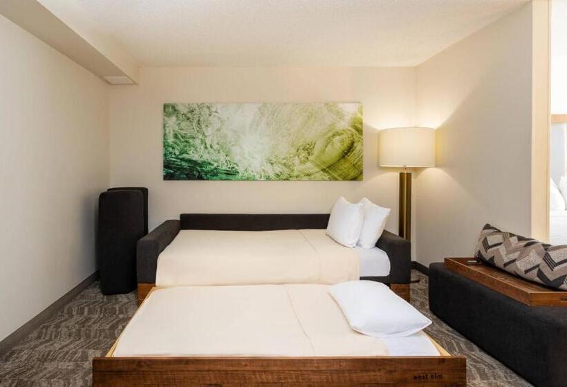 스위트 킹사이즈 침대, Springhill Suites By Marriott Miami Airport South Blue Lagoon Area