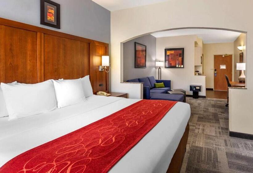 장애인을 위한 스위트, Comfort Suites Denver Tech Center