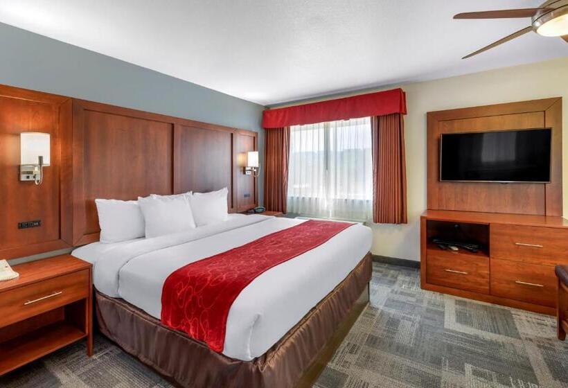장애인을 위한 스위트, Comfort Suites Denver Tech Center