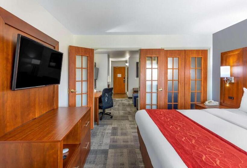 스위트 킹사이즈 침대, Comfort Suites Denver Tech Center
