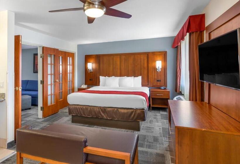 스위트 킹사이즈 침대, Comfort Suites Denver Tech Center