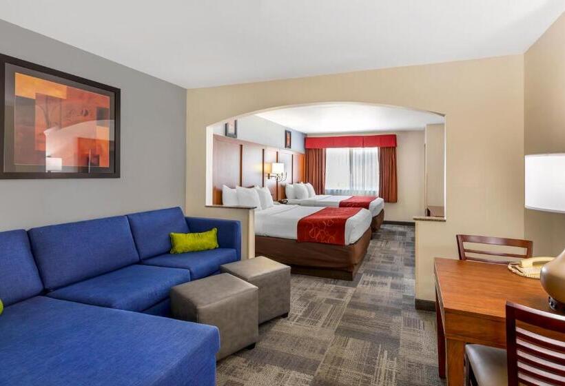 스위트, Comfort Suites Denver Tech Center