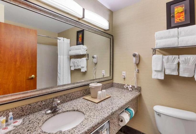 스위트, Comfort Suites Denver Tech Center
