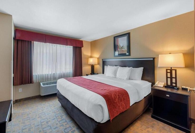 스탠다드 룸, Comfort Suites Denver Tech Center