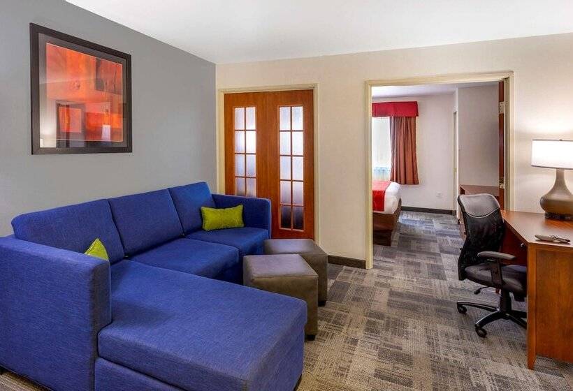 스위트, Comfort Suites Denver Tech Center