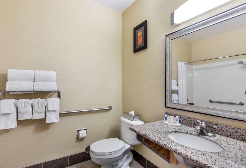 장애인을 위한 스위트, Comfort Suites Denver Tech Center
