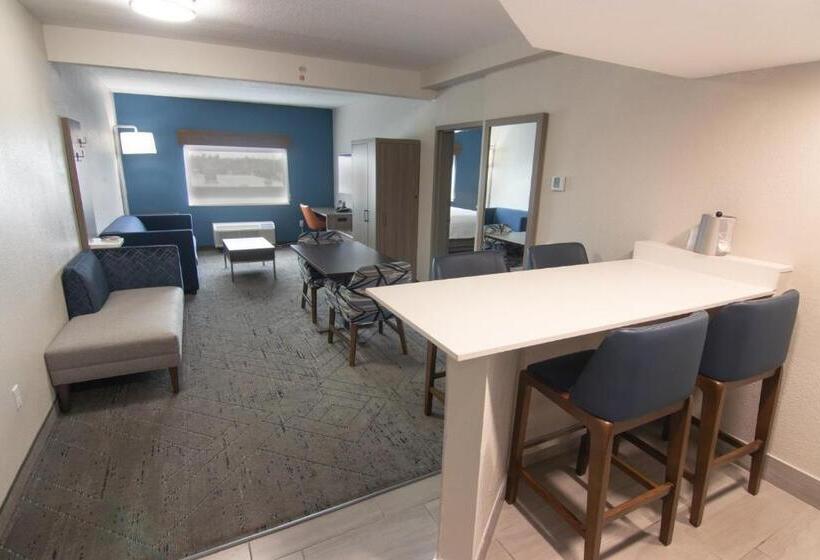 스위트, Holiday Inn Express And Suites Fort Lauderdale Airport West, An Ihg