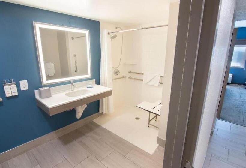 스탠다드 룸, Holiday Inn Express And Suites Fort Lauderdale Airport West, An Ihg