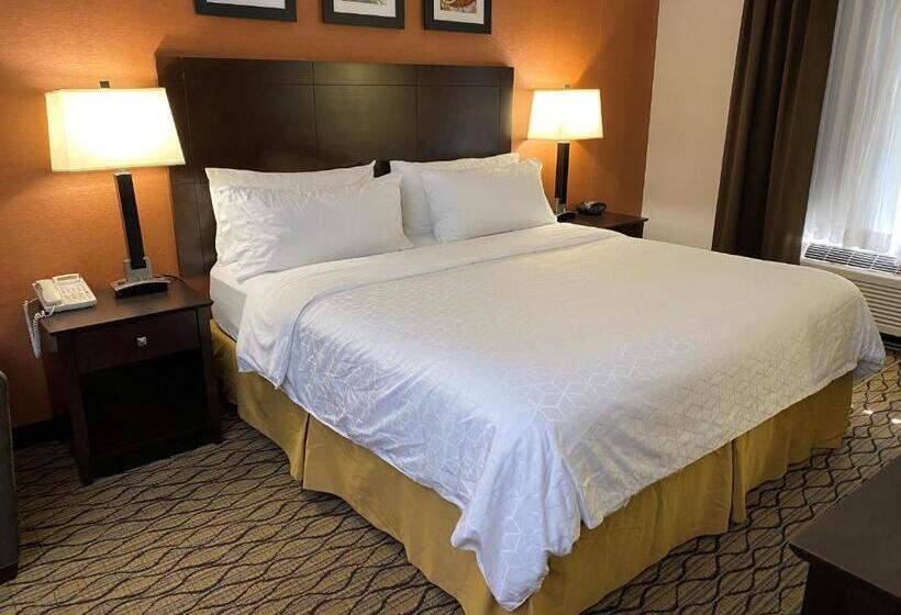 Номер Стандарт Кровать Кинг Адаптированный для Инвалидов, Holiday Inn Express Hotel & Suites Danbury   I 84 By Ihg