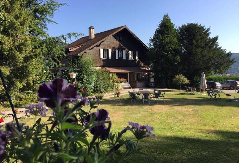 Номер Стандарт, Le Chalet   Hotel Restaurant