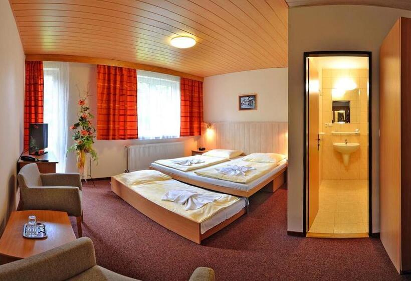 스탠다드 룸, Horsky Hotel Mnich