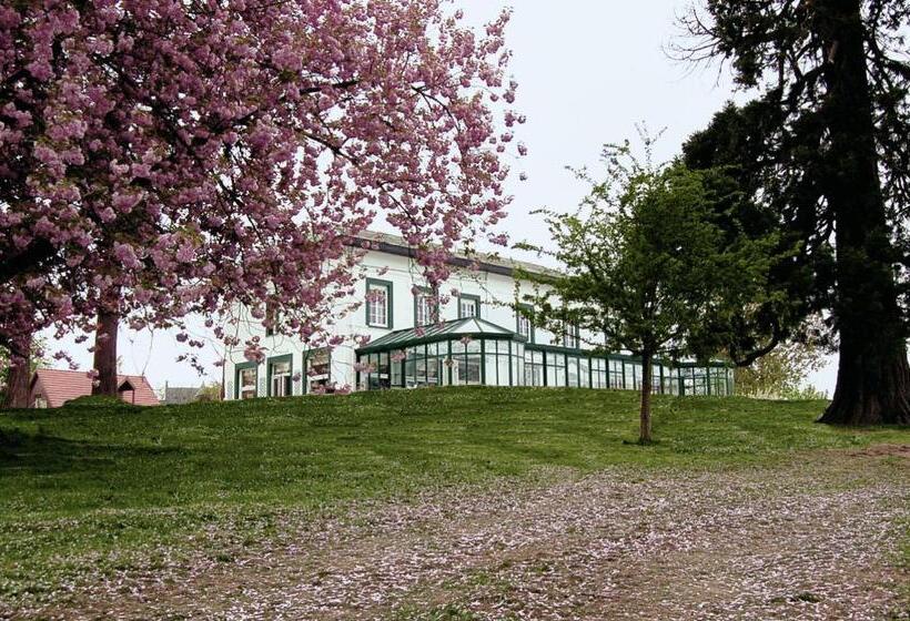Номер Стандарт Индивидуальный, Logis   Hotel Restaurant La Sapinière