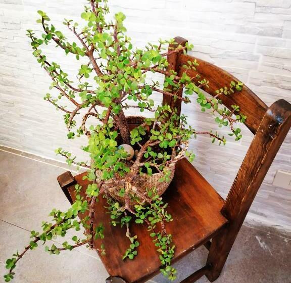 اتاق استاندارد, Alba Chiara B&b