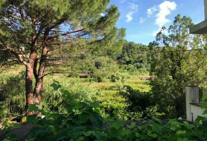 Номер Стандарт, Casale Coreallo