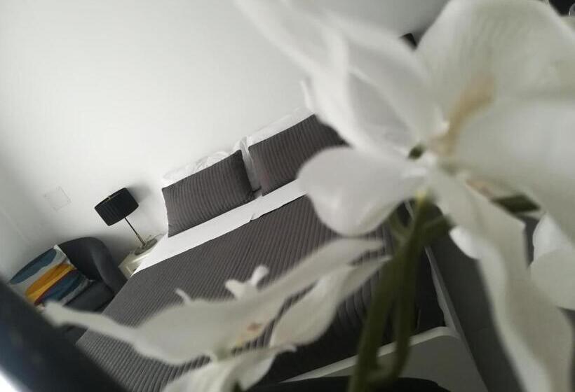 اتاق استاندارد سه نفره, B&b Roda Barocco