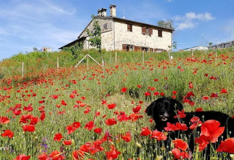 Номер Стандарт, Casale Le Orme