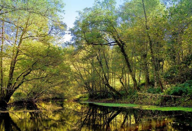 اتاق استاندارد با بالکن, Balneario Rio Pambre