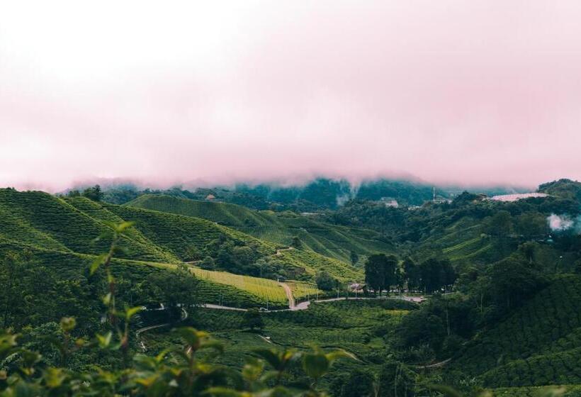 Четырехместный Номер Deluxe, Heritage Hotel Cameron Highlands