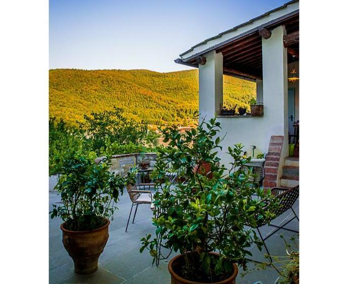 Номер Стандарт, Bioagriturismo Podere Montisi