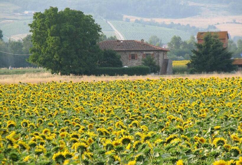 １ベッドルームアパートメント, Agriturismo Poderi Minori